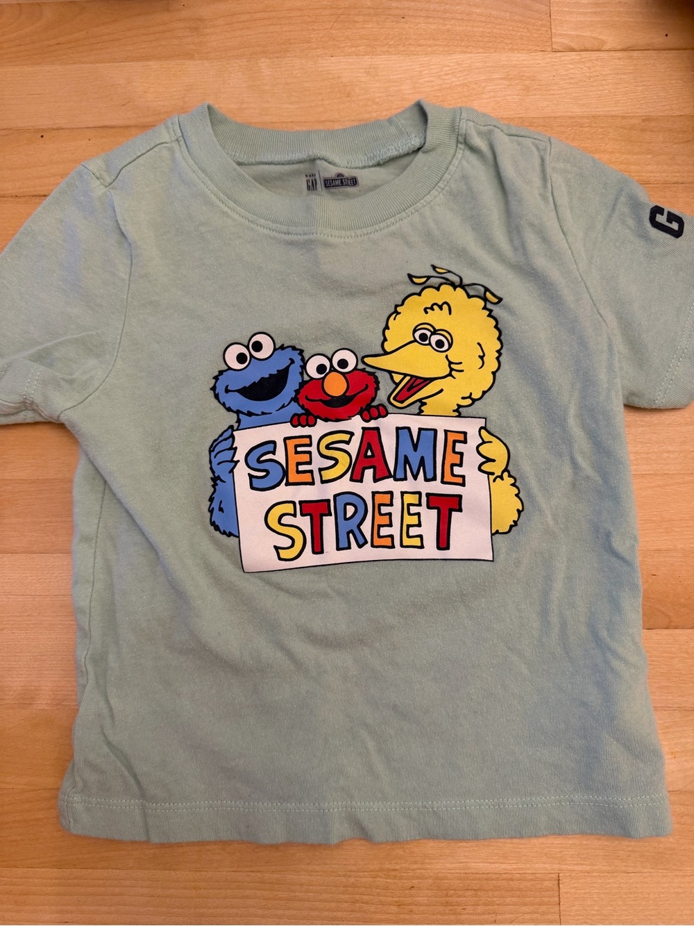 GAP Light Green Sesame Street Character Tee
